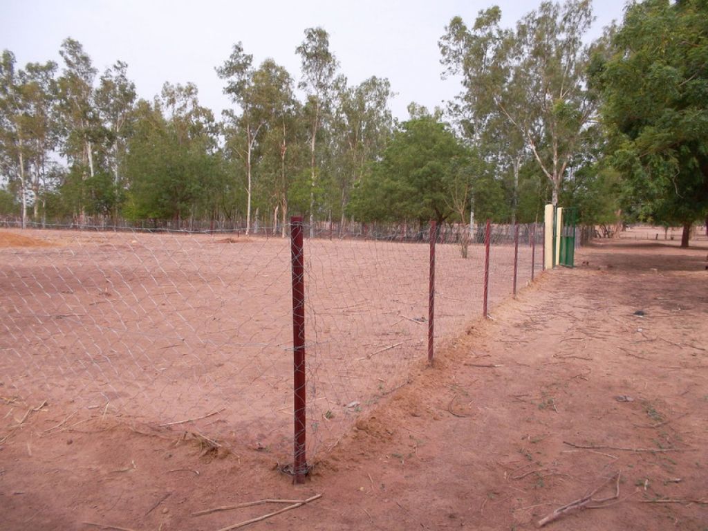 images/mali-hilfe/schulgarten